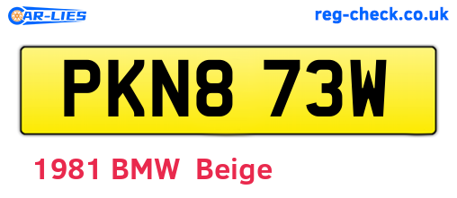 PKN873W are the vehicle registration plates.