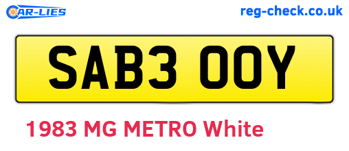 SAB300Y are the vehicle registration plates.