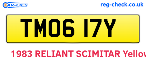 TMO617Y are the vehicle registration plates.