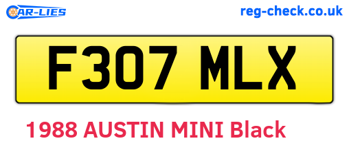 F307MLX are the vehicle registration plates.