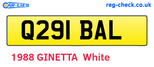 Q291BAL are the vehicle registration plates.