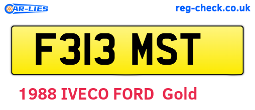 F313MST are the vehicle registration plates.