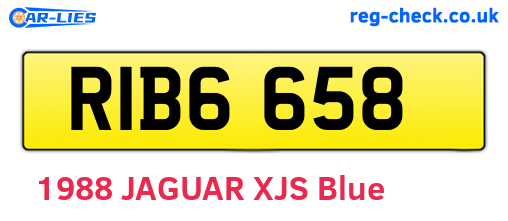 RIB6658 are the vehicle registration plates.