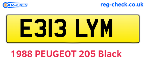 E313LYM are the vehicle registration plates.