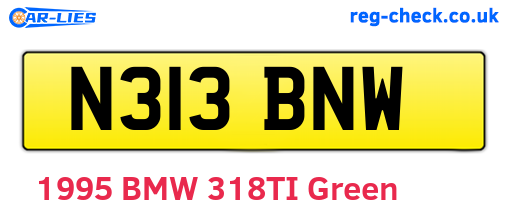 N313BNW are the vehicle registration plates.
