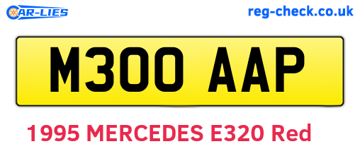 M300AAP are the vehicle registration plates.