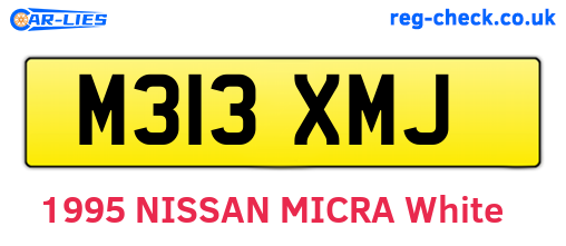 M313XMJ are the vehicle registration plates.