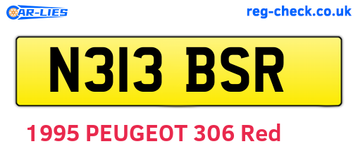 N313BSR are the vehicle registration plates.