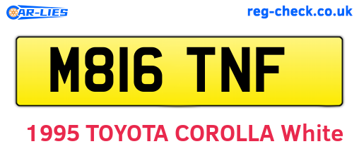 M816TNF are the vehicle registration plates.