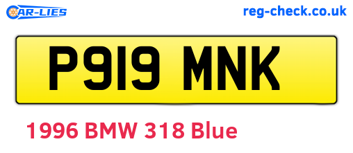 P919MNK are the vehicle registration plates.