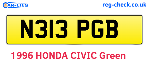 N313PGB are the vehicle registration plates.