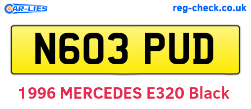 N603PUD are the vehicle registration plates.