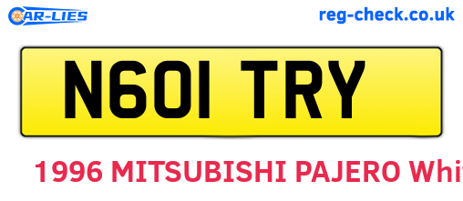 N601TRY are the vehicle registration plates.