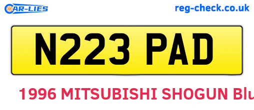 N223PAD are the vehicle registration plates.