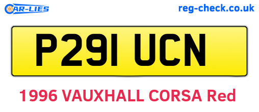 P291UCN are the vehicle registration plates.