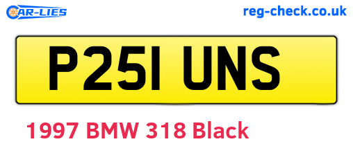 P251UNS are the vehicle registration plates.