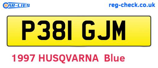 P381GJM are the vehicle registration plates.