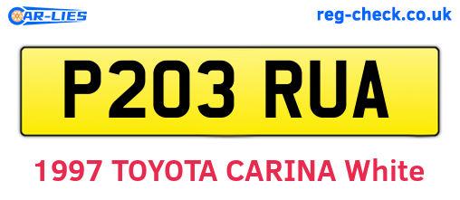P203RUA are the vehicle registration plates.