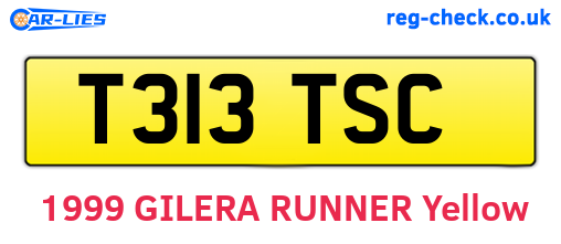 T313TSC are the vehicle registration plates.