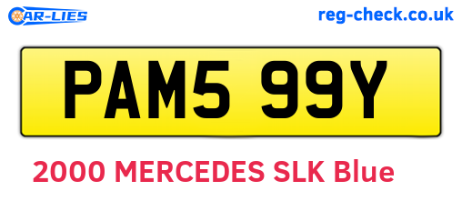PAM599Y are the vehicle registration plates.