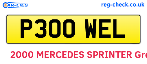 P300WEL are the vehicle registration plates.