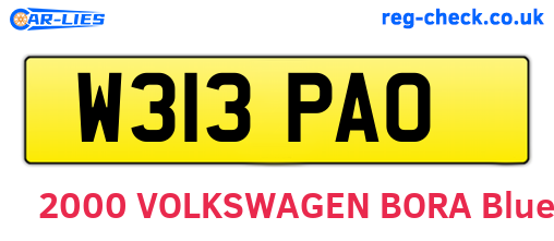 W313PAO are the vehicle registration plates.