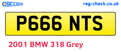 P666NTS are the vehicle registration plates.