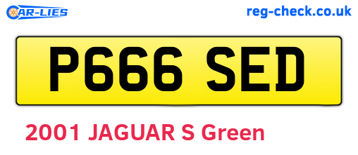 P666SED are the vehicle registration plates.