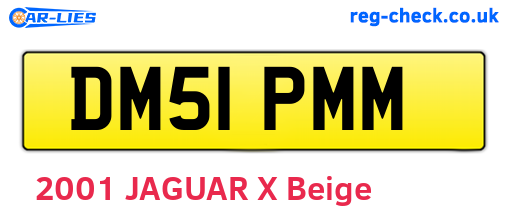 DM51PMM are the vehicle registration plates.