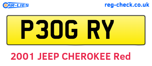 P30GRY are the vehicle registration plates.