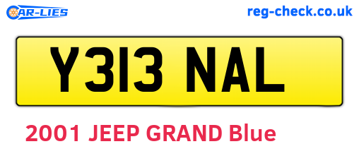 Y313NAL are the vehicle registration plates.