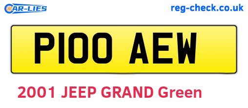 P100AEW are the vehicle registration plates.