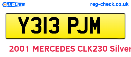 Y313PJM are the vehicle registration plates.
