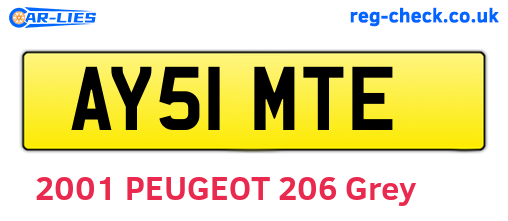 AY51MTE are the vehicle registration plates.
