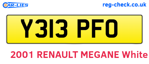 Y313PFO are the vehicle registration plates.