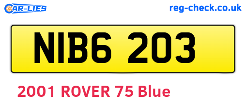 NIB6203 are the vehicle registration plates.