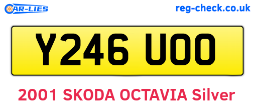 Y246UOO are the vehicle registration plates.