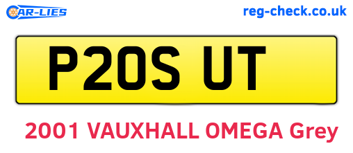 P20SUT are the vehicle registration plates.
