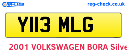 Y113MLG are the vehicle registration plates.