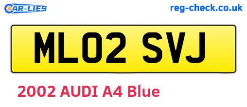 ML02SVJ are the vehicle registration plates.