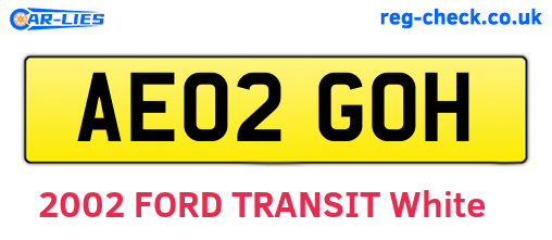 AE02GOH are the vehicle registration plates.