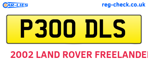 P300DLS are the vehicle registration plates.