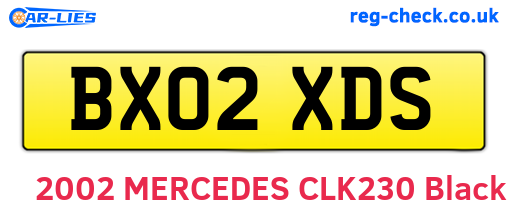 BX02XDS are the vehicle registration plates.