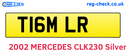 T16MLR are the vehicle registration plates.