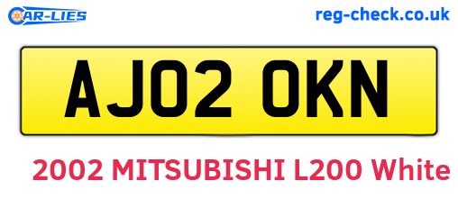 AJ02OKN are the vehicle registration plates.
