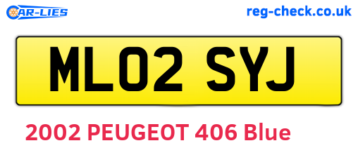 ML02SYJ are the vehicle registration plates.