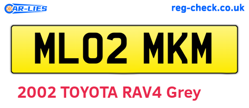 ML02MKM are the vehicle registration plates.