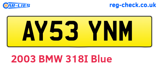 AY53YNM are the vehicle registration plates.