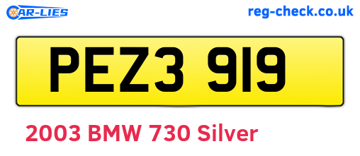 PEZ3919 are the vehicle registration plates.
