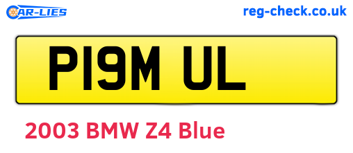 P19MUL are the vehicle registration plates.